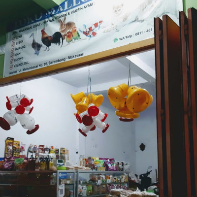 Dewa Pet Shop: Tempat Favorit Hewan Peliharaan di Cilacap